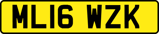 ML16WZK