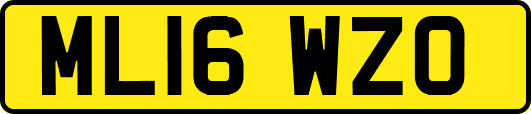 ML16WZO
