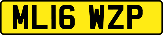 ML16WZP
