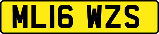 ML16WZS