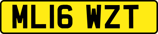 ML16WZT