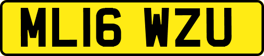 ML16WZU