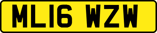 ML16WZW