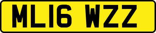 ML16WZZ