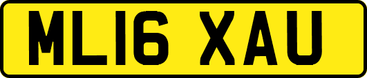 ML16XAU