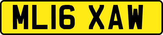 ML16XAW
