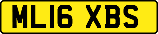 ML16XBS