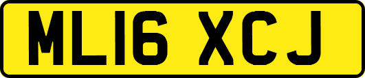 ML16XCJ