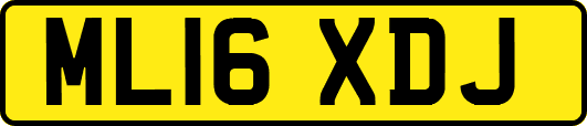ML16XDJ