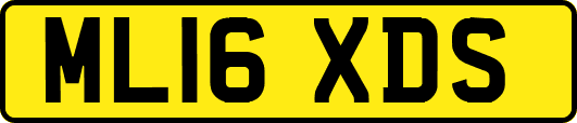 ML16XDS