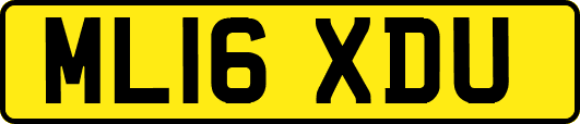 ML16XDU