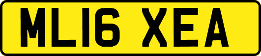 ML16XEA