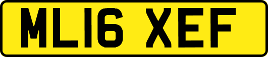 ML16XEF