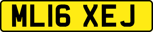 ML16XEJ