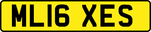 ML16XES