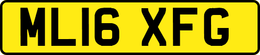 ML16XFG