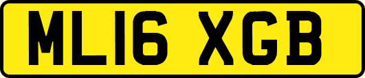 ML16XGB