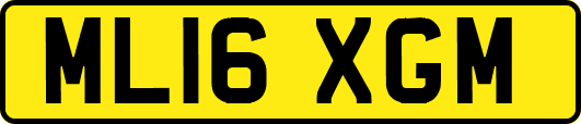 ML16XGM