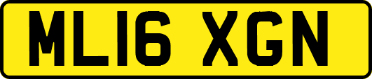 ML16XGN
