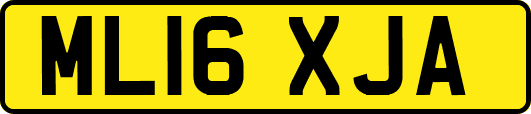 ML16XJA