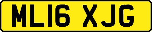 ML16XJG