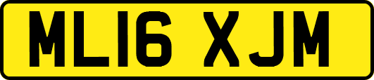 ML16XJM