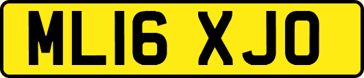 ML16XJO