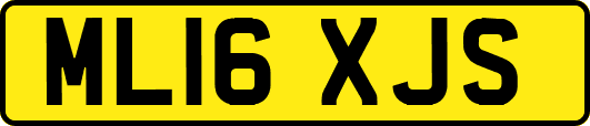 ML16XJS