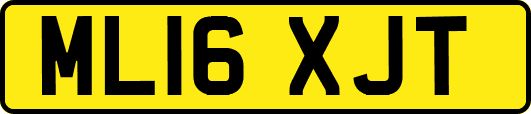 ML16XJT