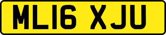 ML16XJU