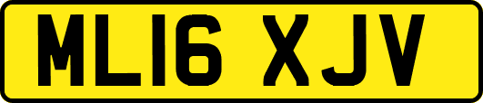 ML16XJV