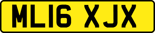 ML16XJX