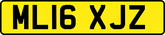 ML16XJZ