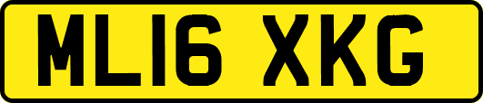ML16XKG