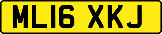 ML16XKJ