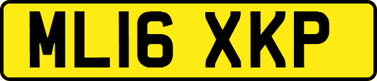 ML16XKP