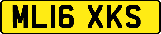 ML16XKS