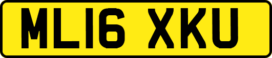 ML16XKU