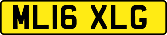 ML16XLG