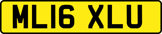 ML16XLU