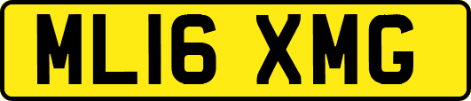ML16XMG