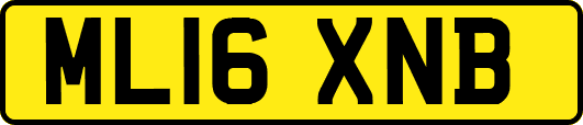 ML16XNB