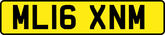 ML16XNM