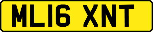 ML16XNT