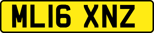 ML16XNZ