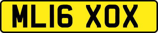 ML16XOX