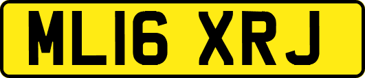 ML16XRJ