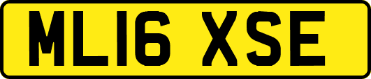 ML16XSE