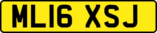 ML16XSJ
