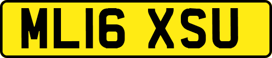 ML16XSU